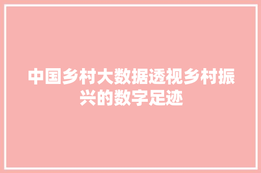 中国乡村大数据透视乡村振兴的数字足迹