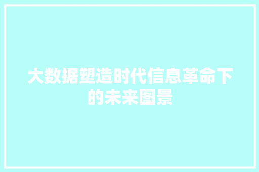 大数据塑造时代信息革命下的未来图景
