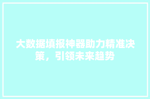 大数据填报神器助力精准决策，引领未来趋势