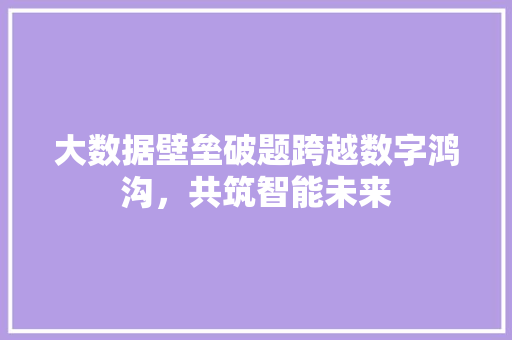大数据壁垒破题跨越数字鸿沟，共筑智能未来