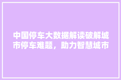 中国停车大数据解读破解城市停车难题，助力智慧城市建设