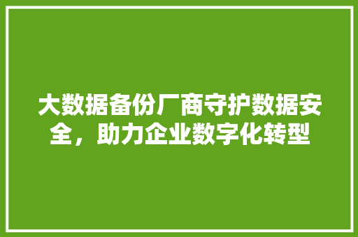 大数据备份厂商守护数据安全，助力企业数字化转型