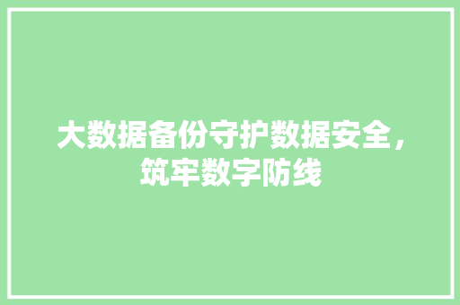 大数据备份守护数据安全，筑牢数字防线