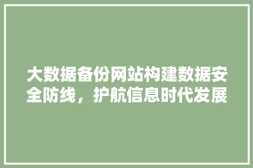 大数据备份网站构建数据安全防线，护航信息时代发展