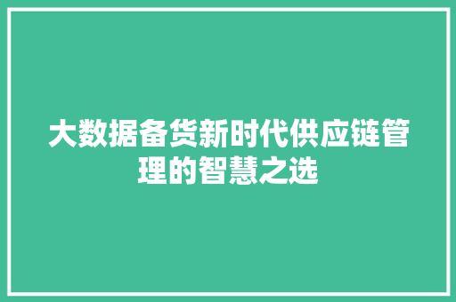 大数据备货新时代供应链管理的智慧之选