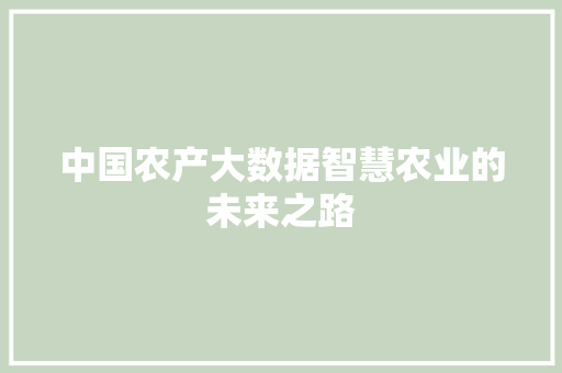 中国农产大数据智慧农业的未来之路