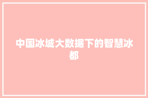 中国冰城大数据下的智慧冰都
