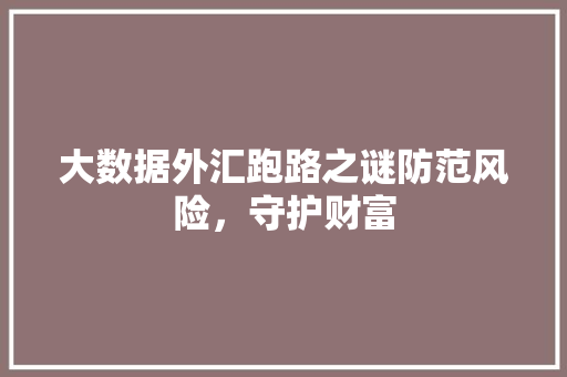 大数据外汇跑路之谜防范风险，守护财富  第1张