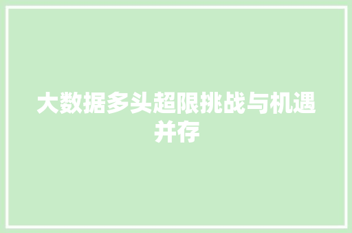 大数据多头超限挑战与机遇并存  第1张