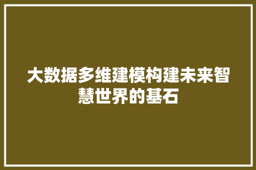 大数据多维建模构建未来智慧世界的基石