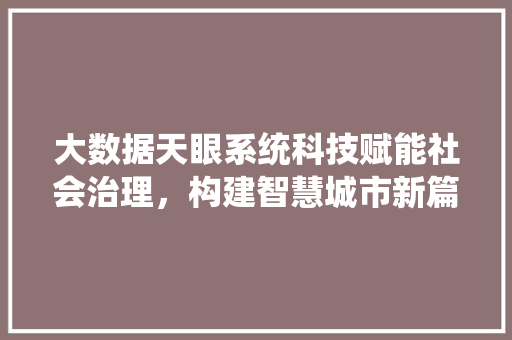 大数据天眼系统科技赋能社会治理，构建智慧城市新篇章
