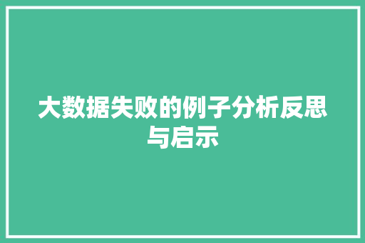 大数据失败的例子分析反思与启示  第1张