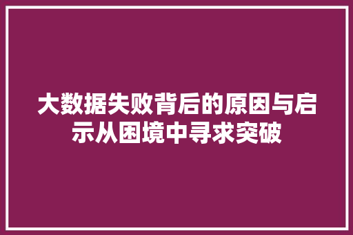 大数据失败背后的原因与启示从困境中寻求突破