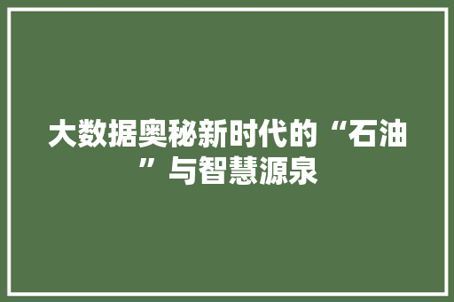 大数据奥秘新时代的“石油”与智慧源泉  第1张