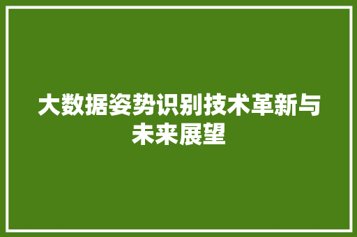 大数据姿势识别技术革新与未来展望