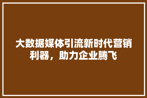 大数据媒体引流新时代营销利器，助力企业腾飞  第1张