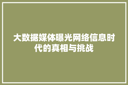 大数据媒体曝光网络信息时代的真相与挑战