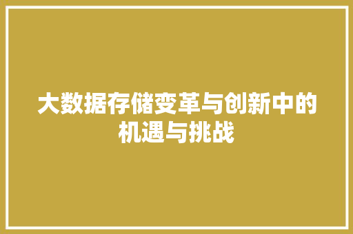 大数据存储变革与创新中的机遇与挑战