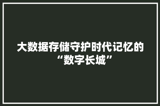 大数据存储守护时代记忆的“数字长城”