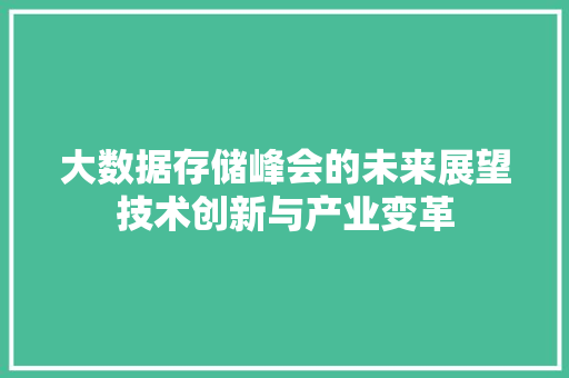 大数据存储峰会的未来展望技术创新与产业变革