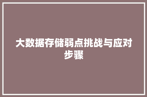 大数据存储弱点挑战与应对步骤  第1张