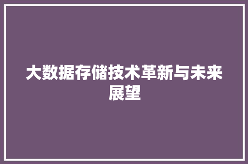 大数据存储技术革新与未来展望  第1张
