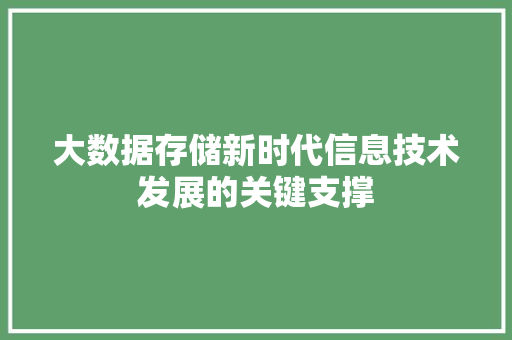 大数据存储新时代信息技术发展的关键支撑