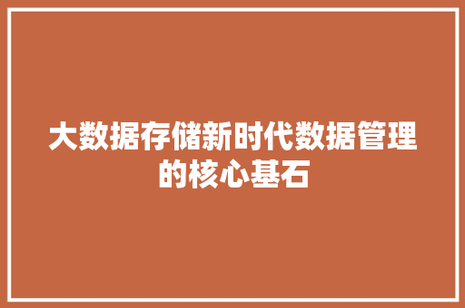 大数据存储新时代数据管理的核心基石