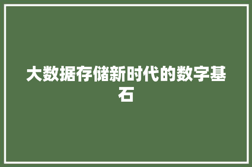 大数据存储新时代的数字基石