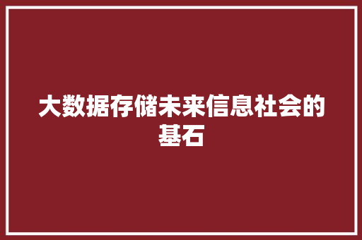 大数据存储未来信息社会的基石