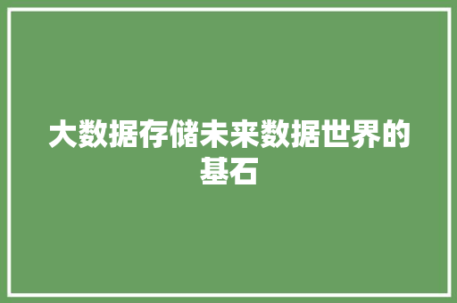 大数据存储未来数据世界的基石