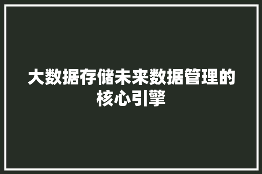 大数据存储未来数据管理的核心引擎