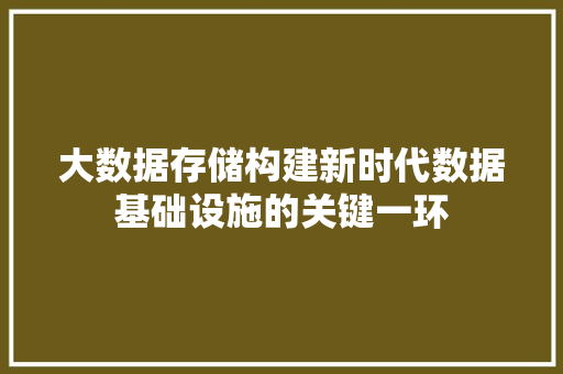 大数据存储构建新时代数据基础设施的关键一环