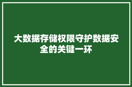 大数据存储权限守护数据安全的关键一环