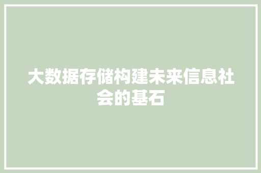 大数据存储构建未来信息社会的基石  第1张