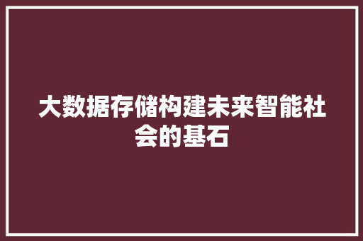 大数据存储构建未来智能社会的基石