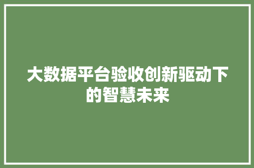 大数据平台验收创新驱动下的智慧未来  第1张