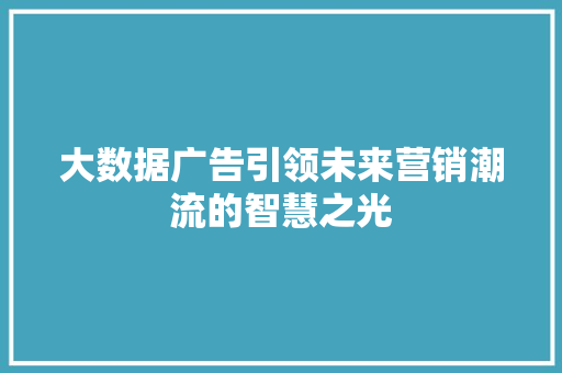 大数据广告引领未来营销潮流的智慧之光