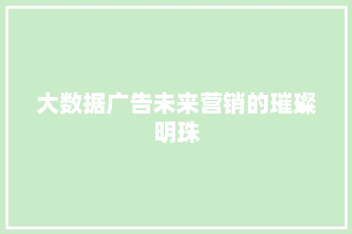 大数据广告未来营销的璀璨明珠  第1张