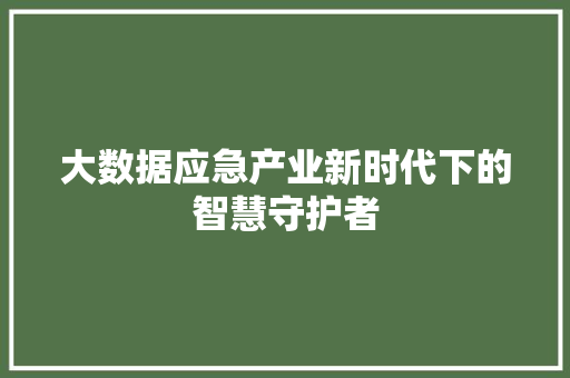 大数据应急产业新时代下的智慧守护者