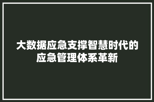大数据应急支撑智慧时代的应急管理体系革新