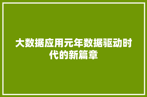 大数据应用元年数据驱动时代的新篇章