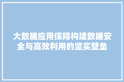 大数据应用保障构建数据安全与高效利用的坚实壁垒