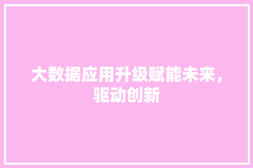 大数据应用升级赋能未来，驱动创新