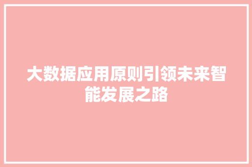大数据应用原则引领未来智能发展之路  第1张