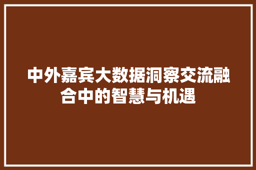 中外嘉宾大数据洞察交流融合中的智慧与机遇