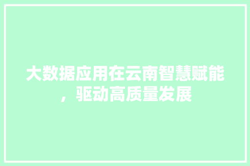 大数据应用在云南智慧赋能，驱动高质量发展