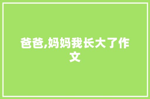 大数据应用在衡阳智慧城市建设的新引擎  第1张