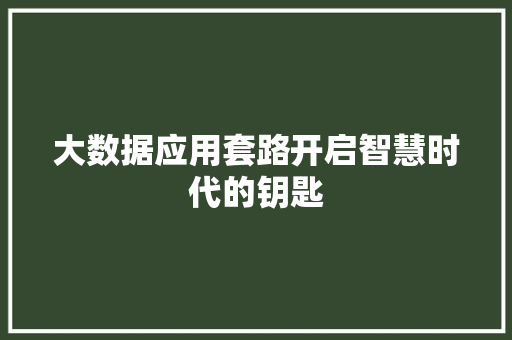 大数据应用套路开启智慧时代的钥匙  第1张