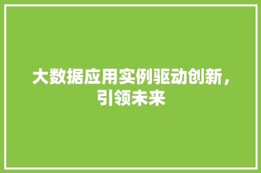 大数据应用实例驱动创新，引领未来